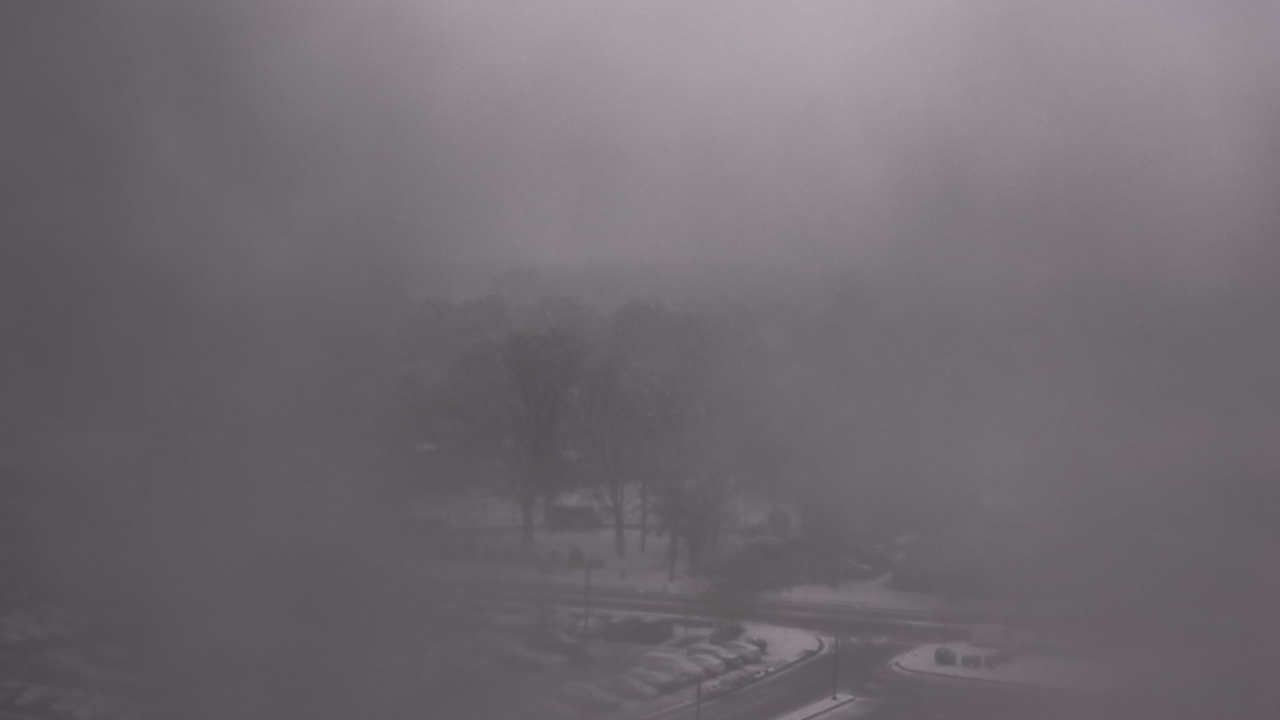Thumbnail for current weather camera view from Chippenham Hospital in Richmond, Virginia