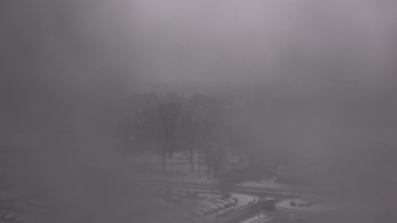 Thumbnail for current weather camera view from Chippenham Hospital in Richmond, Virginia