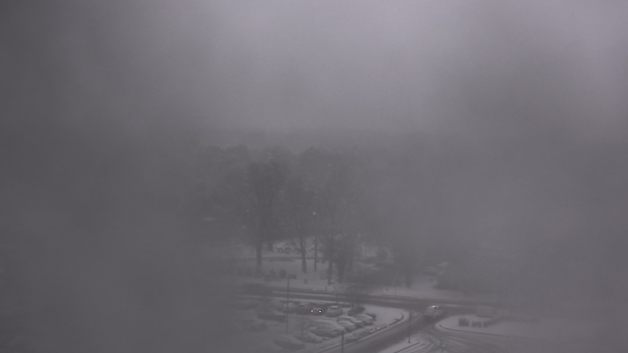 Thumbnail for current weather camera view from Chippenham Hospital in Richmond, Virginia