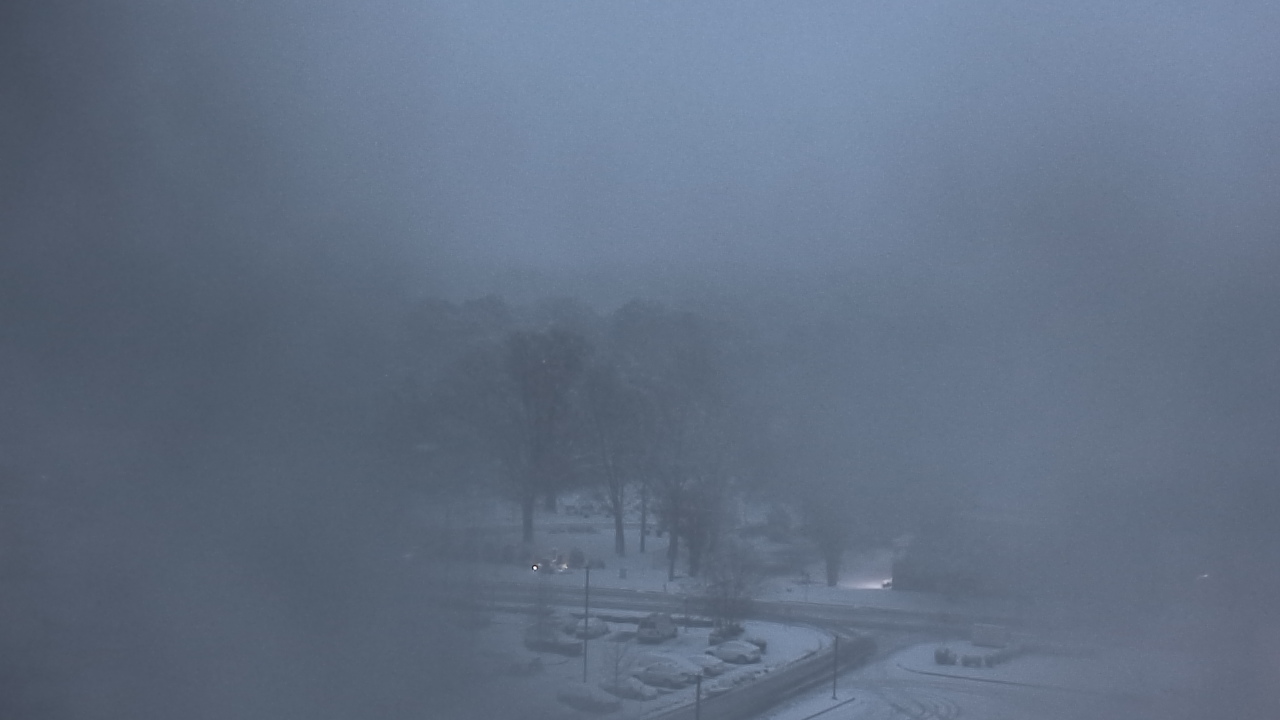 Thumbnail for current weather camera view from Chippenham Hospital in Richmond, Virginia