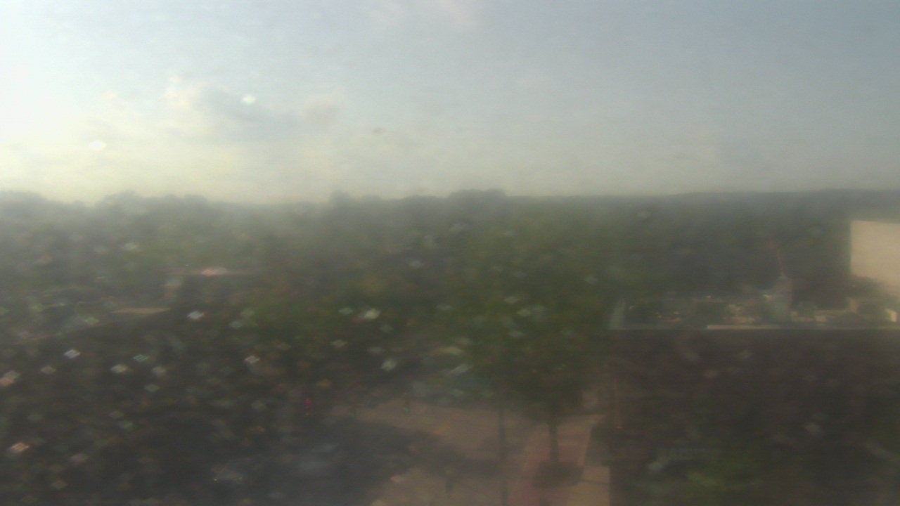 Thumbnail for current weather camera view from Top of the Hill Restaurant in Chapel Hill, North Carolina