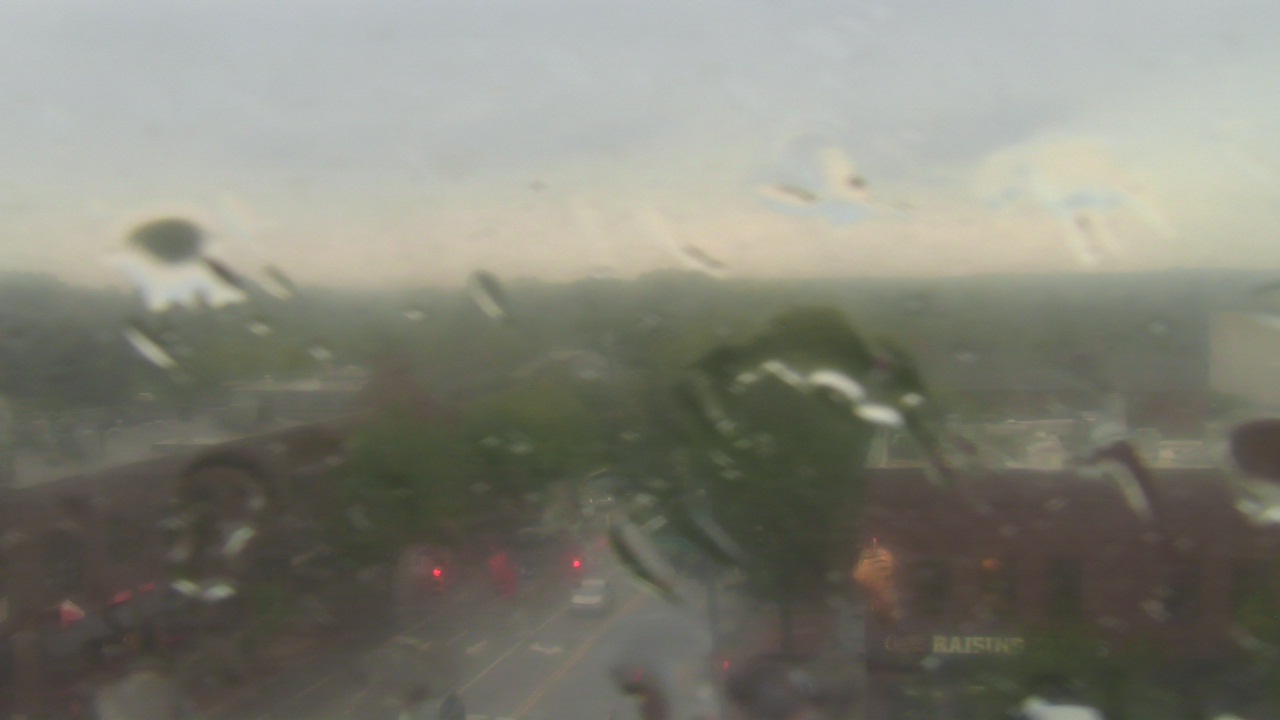 Thumbnail for current weather camera view from Top of the Hill Restaurant in Chapel Hill, North Carolina