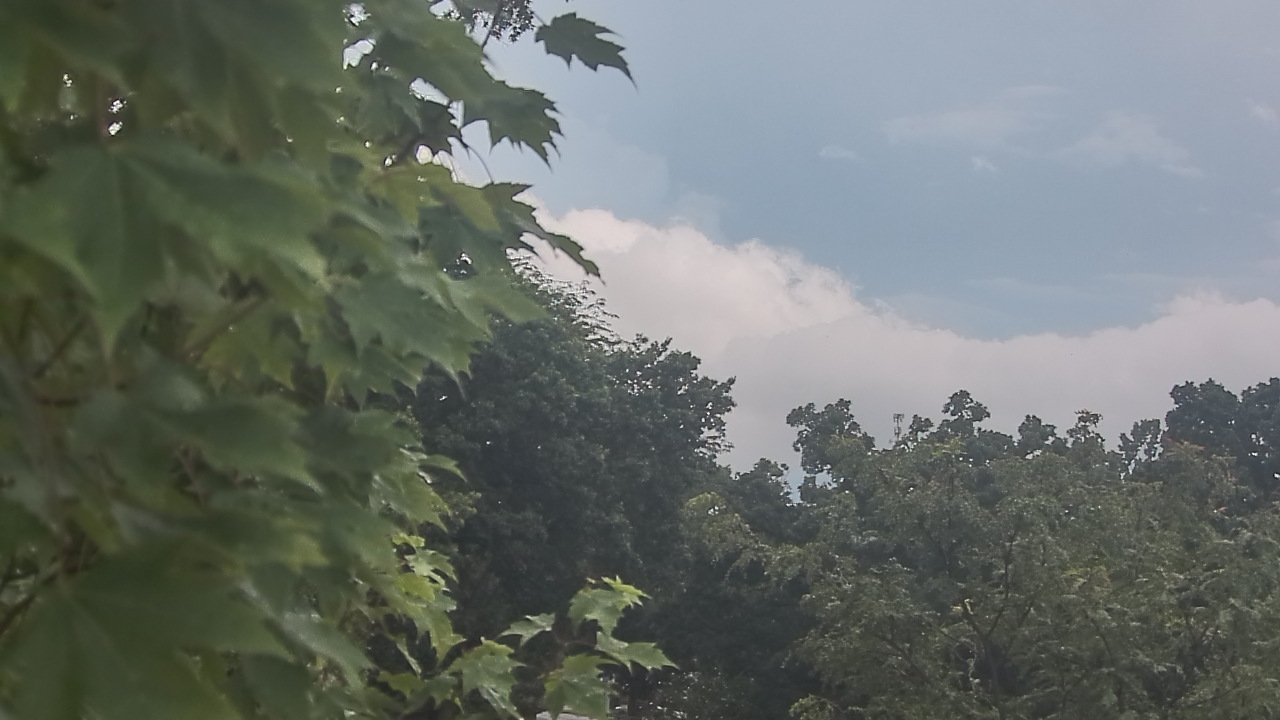 Thumbnail for current weather camera view from Good Shepherd Catholic Montessori in The Village of Indian Hill, Ohio