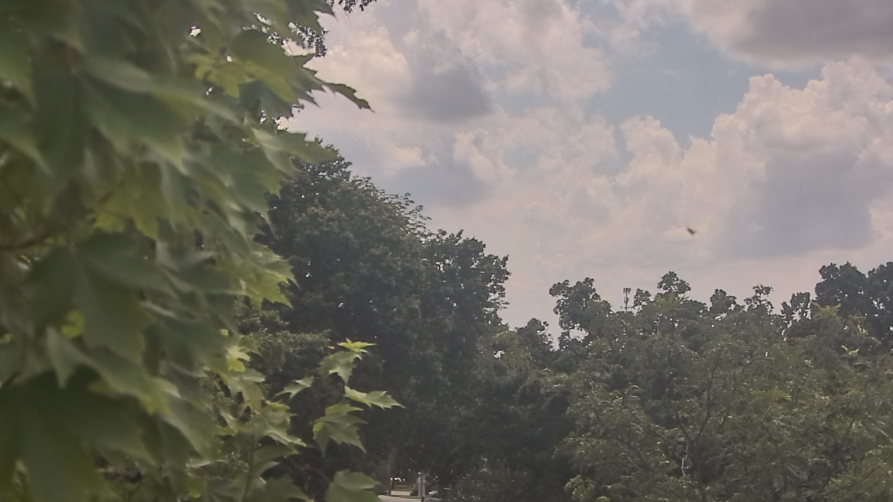 Thumbnail for current weather camera view from Good Shepherd Catholic Montessori in The Village of Indian Hill, Ohio