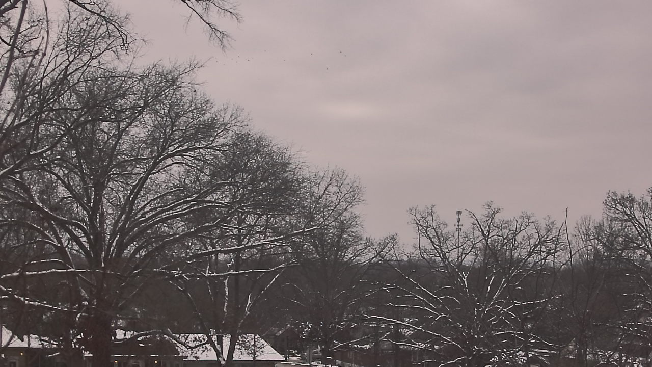 Thumbnail for current weather camera view from Good Shepherd Catholic Montessori in The Village of Indian Hill, Ohio