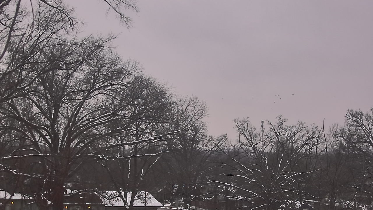 Thumbnail for current weather camera view from Good Shepherd Catholic Montessori in The Village of Indian Hill, Ohio