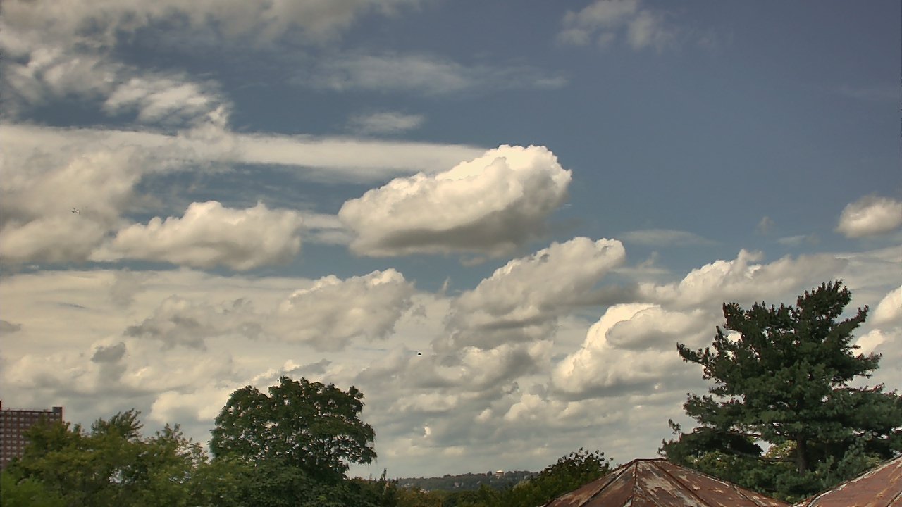 Thumbnail for current weather camera view from Benjamin Banneker Charter School in Cambridge, Massachusetts