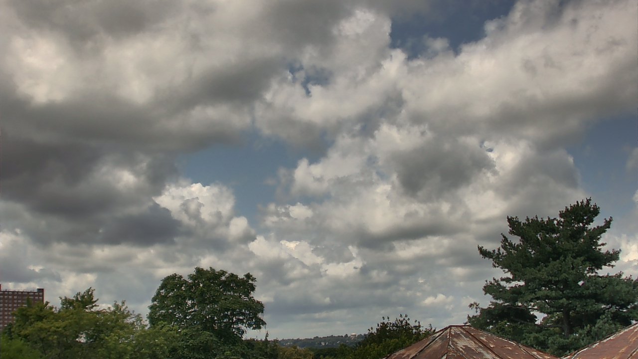 Thumbnail for current weather camera view from Benjamin Banneker Charter School in Cambridge, Massachusetts