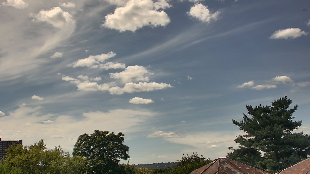 Thumbnail for current weather camera view from Benjamin Banneker Charter School in Cambridge, Massachusetts