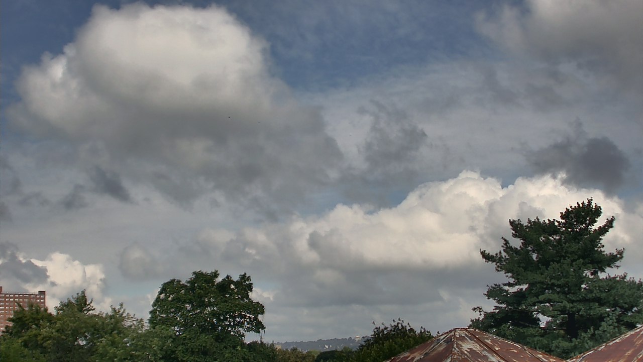 Thumbnail for current weather camera view from Benjamin Banneker Charter School in Cambridge, Massachusetts