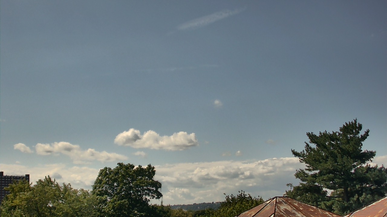 Thumbnail for current weather camera view from Benjamin Banneker Charter School in Cambridge, Massachusetts