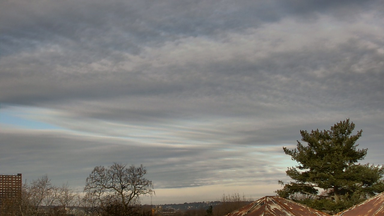 Thumbnail for current weather camera view from Benjamin Banneker Charter School in Cambridge, Massachusetts