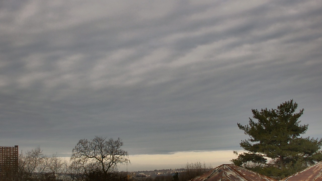 Thumbnail for current weather camera view from Benjamin Banneker Charter School in Cambridge, Massachusetts