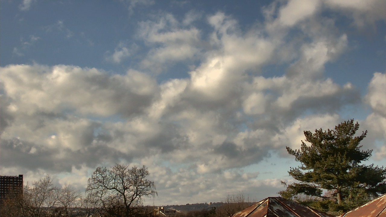Thumbnail for current weather camera view from Benjamin Banneker Charter School in Cambridge, Massachusetts
