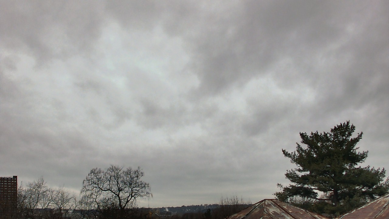 Thumbnail for current weather camera view from Benjamin Banneker Charter School in Cambridge, Massachusetts