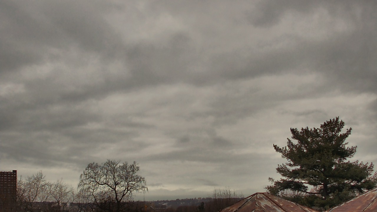 Thumbnail for current weather camera view from Benjamin Banneker Charter School in Cambridge, Massachusetts