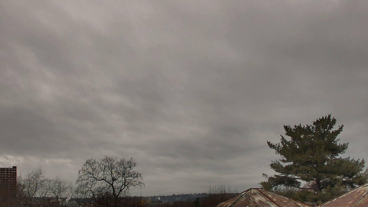 Thumbnail for current weather camera view from Benjamin Banneker Charter School in Cambridge, Massachusetts