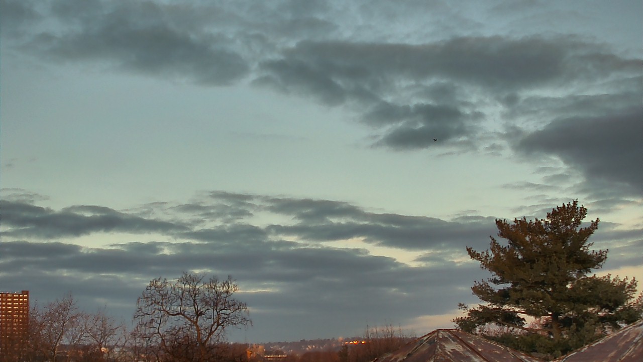 Thumbnail for current weather camera view from Benjamin Banneker Charter School in Cambridge, Massachusetts