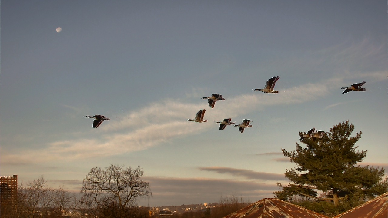 Thumbnail for current weather camera view from Benjamin Banneker Charter School in Cambridge, Massachusetts