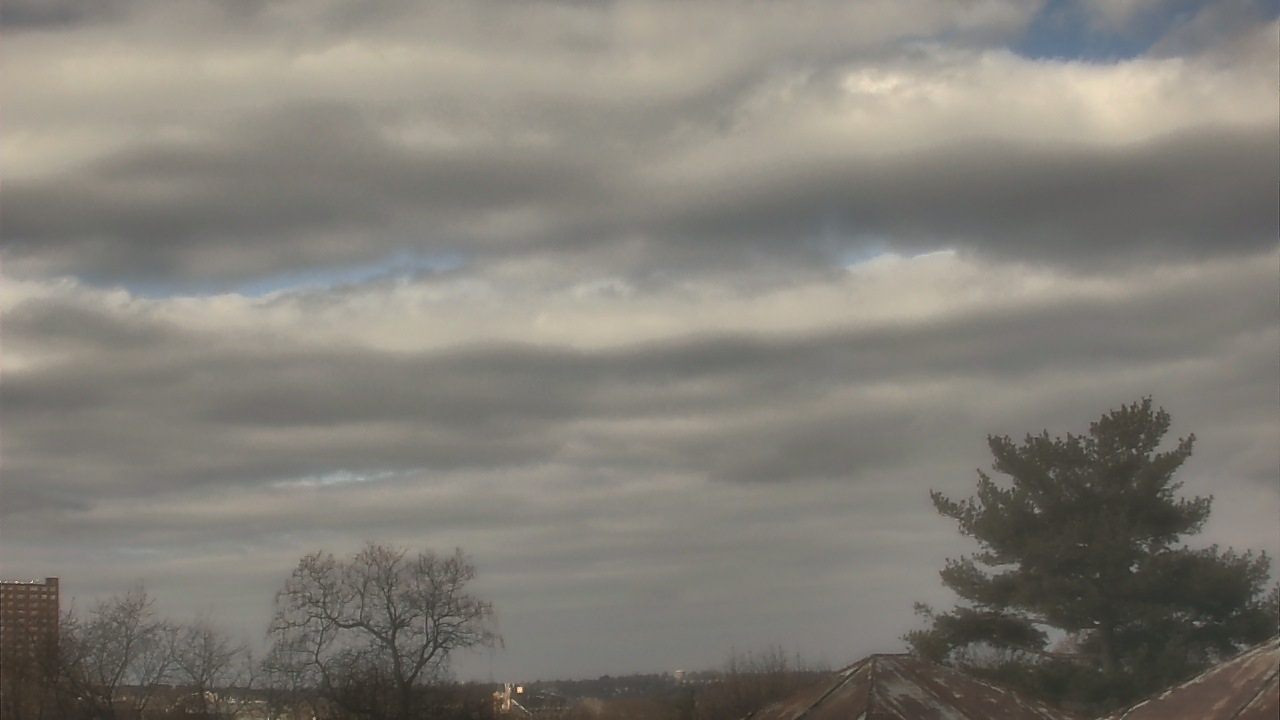 Thumbnail for current weather camera view from Benjamin Banneker Charter School in Cambridge, Massachusetts