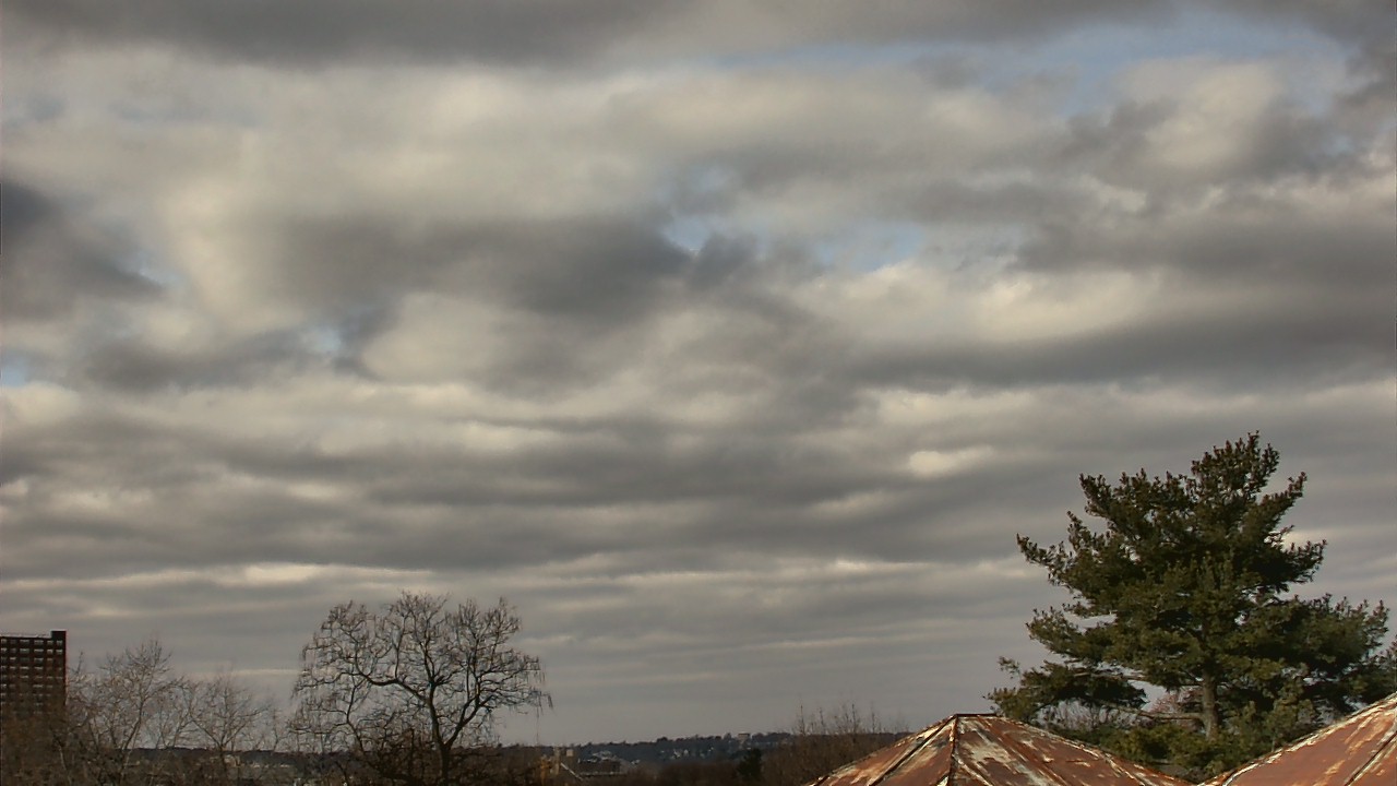 Thumbnail for current weather camera view from Benjamin Banneker Charter School in Cambridge, Massachusetts