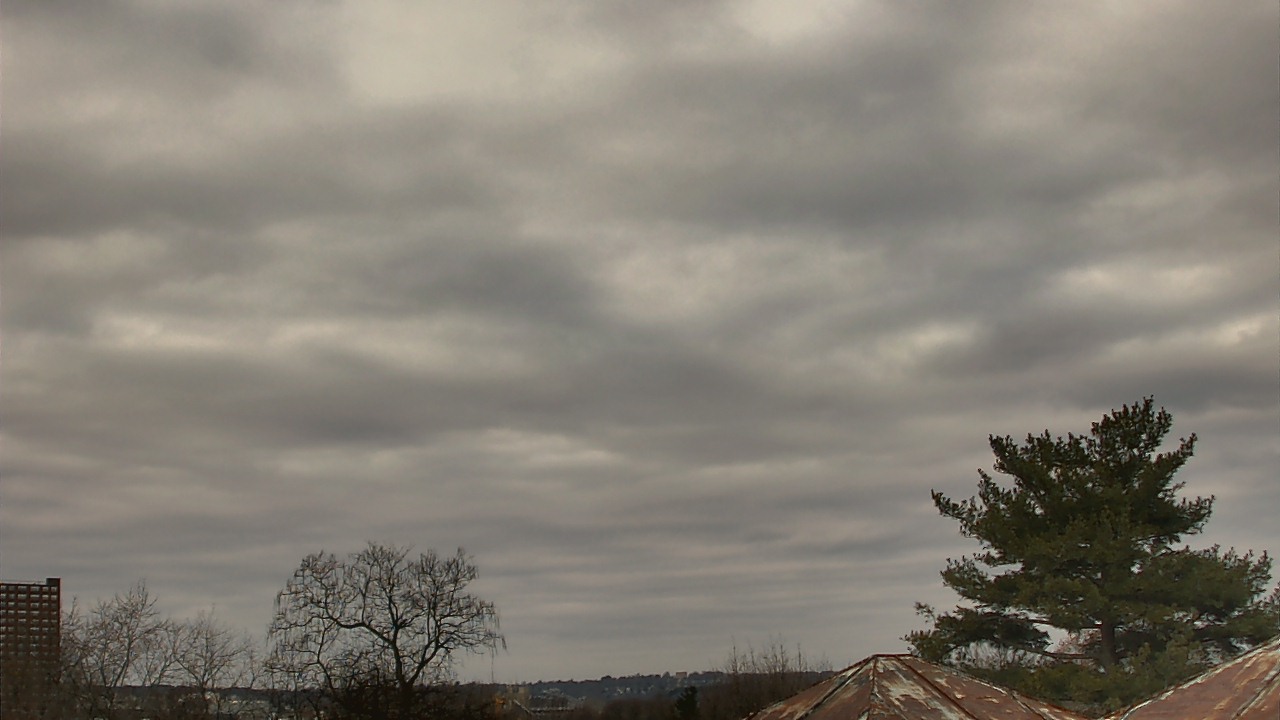 Thumbnail for current weather camera view from Benjamin Banneker Charter School in Cambridge, Massachusetts