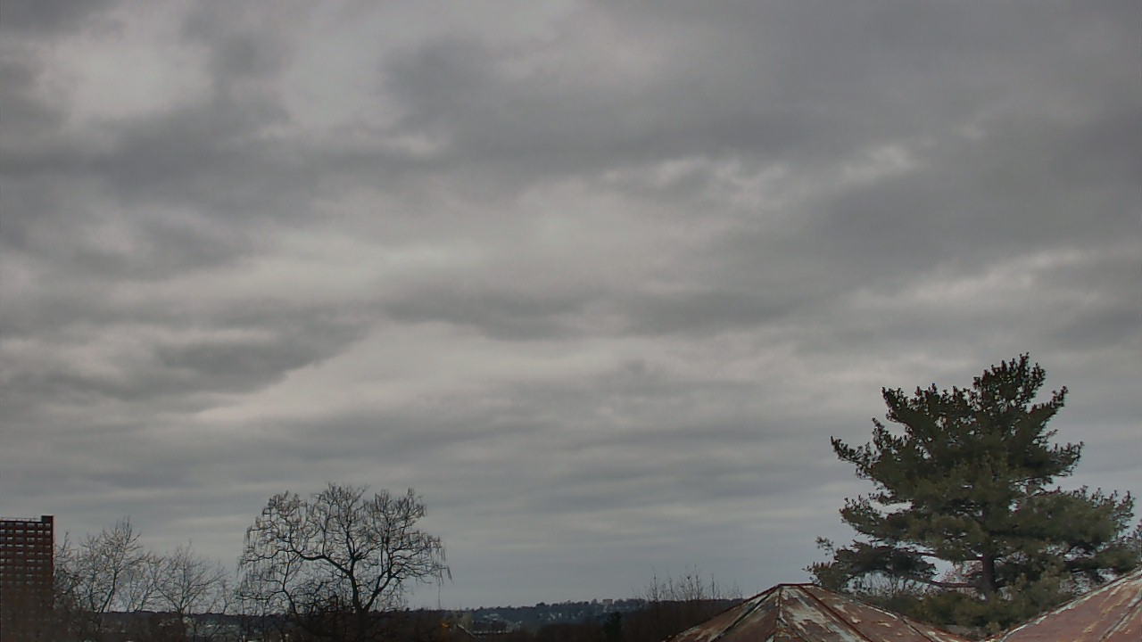 Thumbnail for current weather camera view from Benjamin Banneker Charter School in Cambridge, Massachusetts