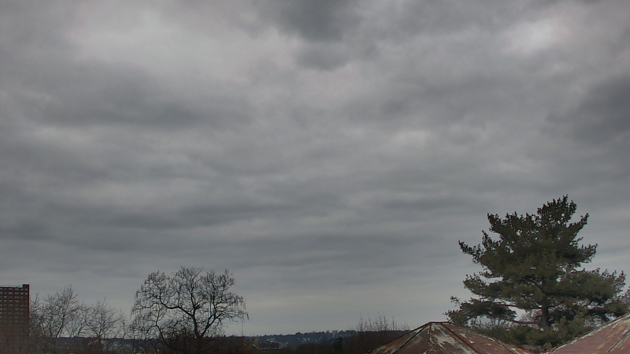 Thumbnail for current weather camera view from Benjamin Banneker Charter School in Cambridge, Massachusetts