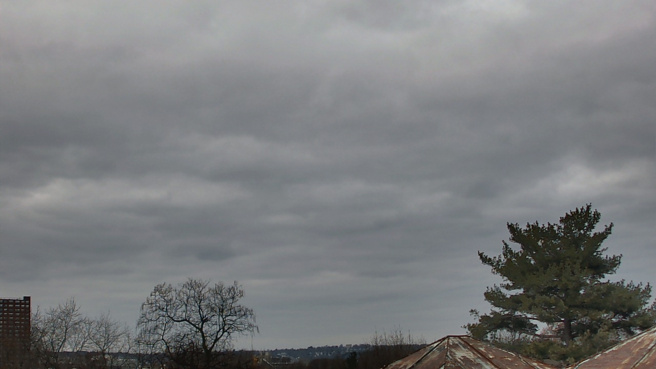 Thumbnail for current weather camera view from Benjamin Banneker Charter School in Cambridge, Massachusetts