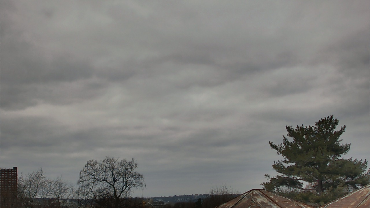 Thumbnail for current weather camera view from Benjamin Banneker Charter School in Cambridge, Massachusetts