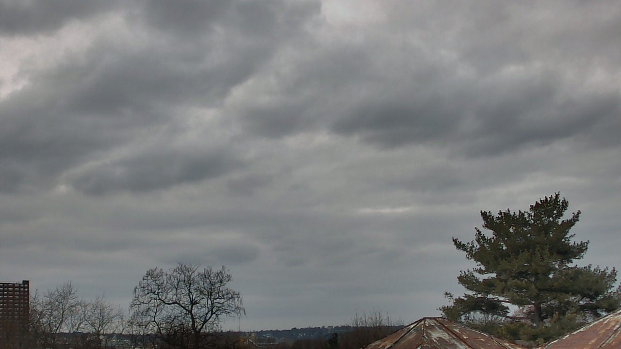 Thumbnail for current weather camera view from Benjamin Banneker Charter School in Cambridge, Massachusetts