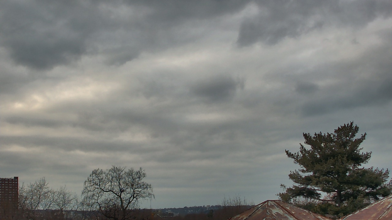 Thumbnail for current weather camera view from Benjamin Banneker Charter School in Cambridge, Massachusetts