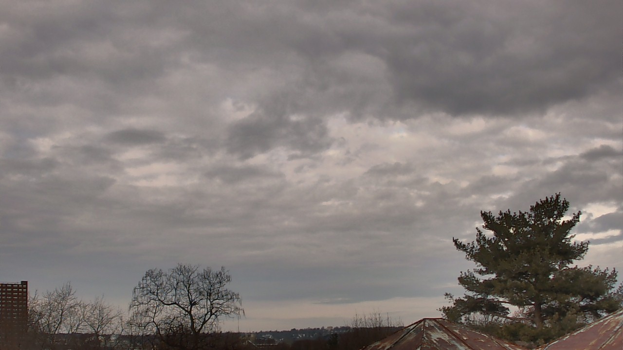 Thumbnail for current weather camera view from Benjamin Banneker Charter School in Cambridge, Massachusetts
