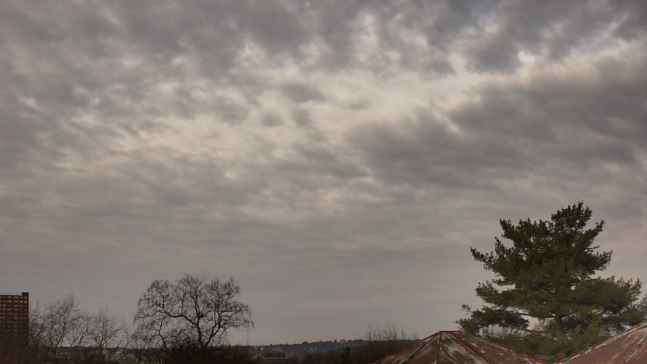Thumbnail for current weather camera view from Benjamin Banneker Charter School in Cambridge, Massachusetts