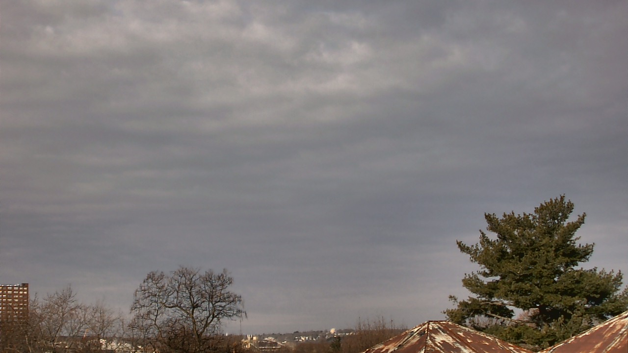 Thumbnail for current weather camera view from Benjamin Banneker Charter School in Cambridge, Massachusetts