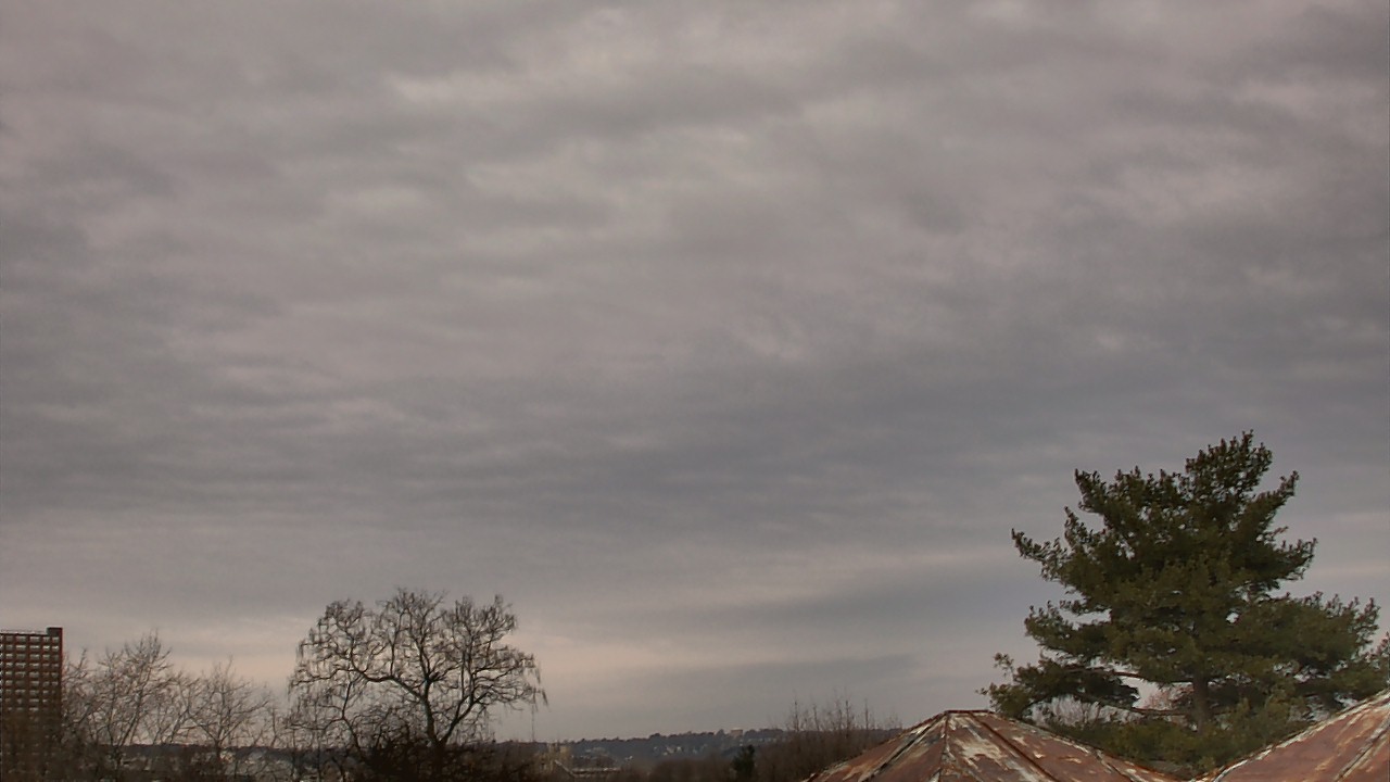 Thumbnail for current weather camera view from Benjamin Banneker Charter School in Cambridge, Massachusetts