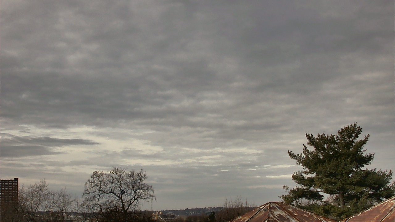 Thumbnail for current weather camera view from Benjamin Banneker Charter School in Cambridge, Massachusetts
