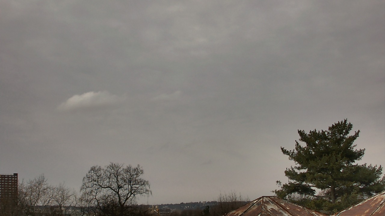 Thumbnail for current weather camera view from Benjamin Banneker Charter School in Cambridge, Massachusetts