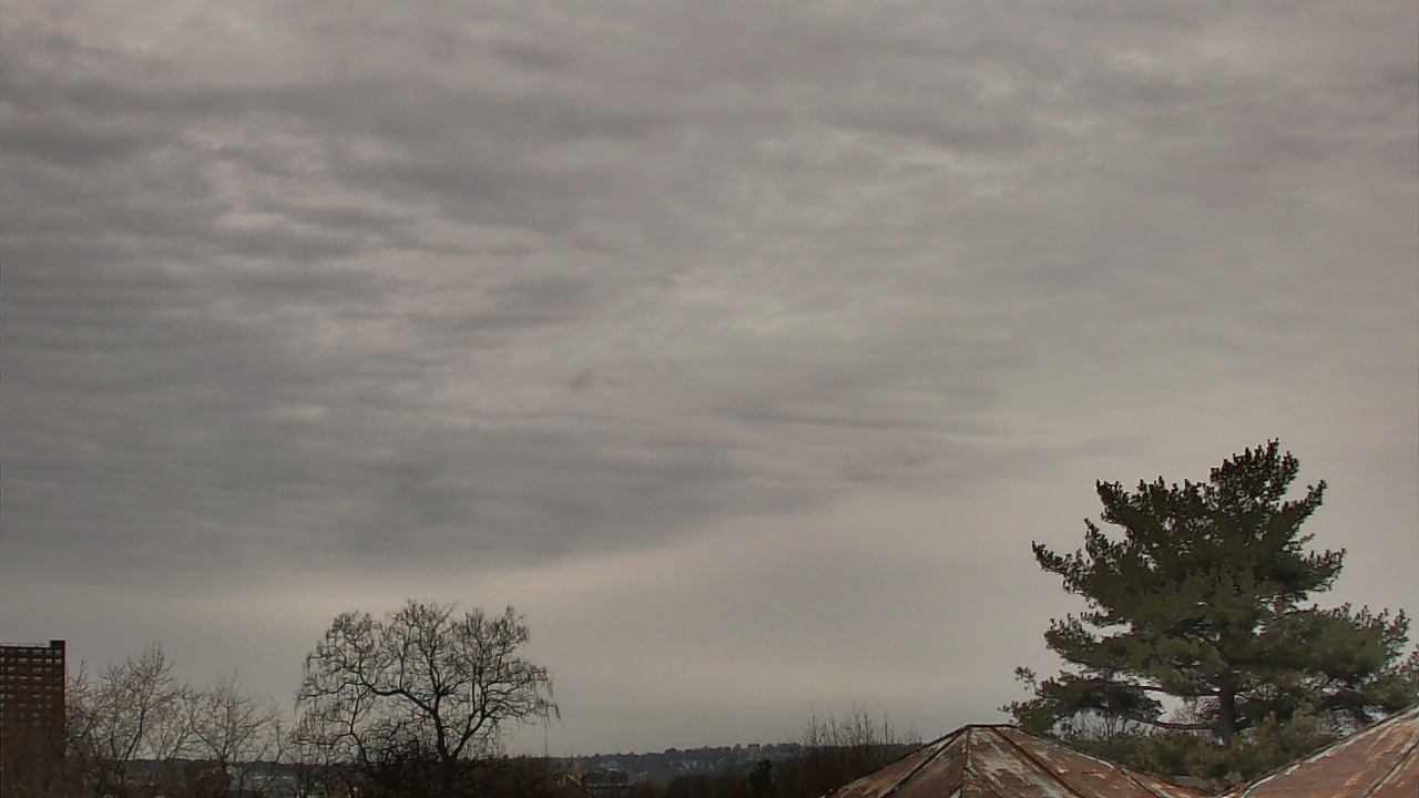 Thumbnail for current weather camera view from Benjamin Banneker Charter School in Cambridge, Massachusetts