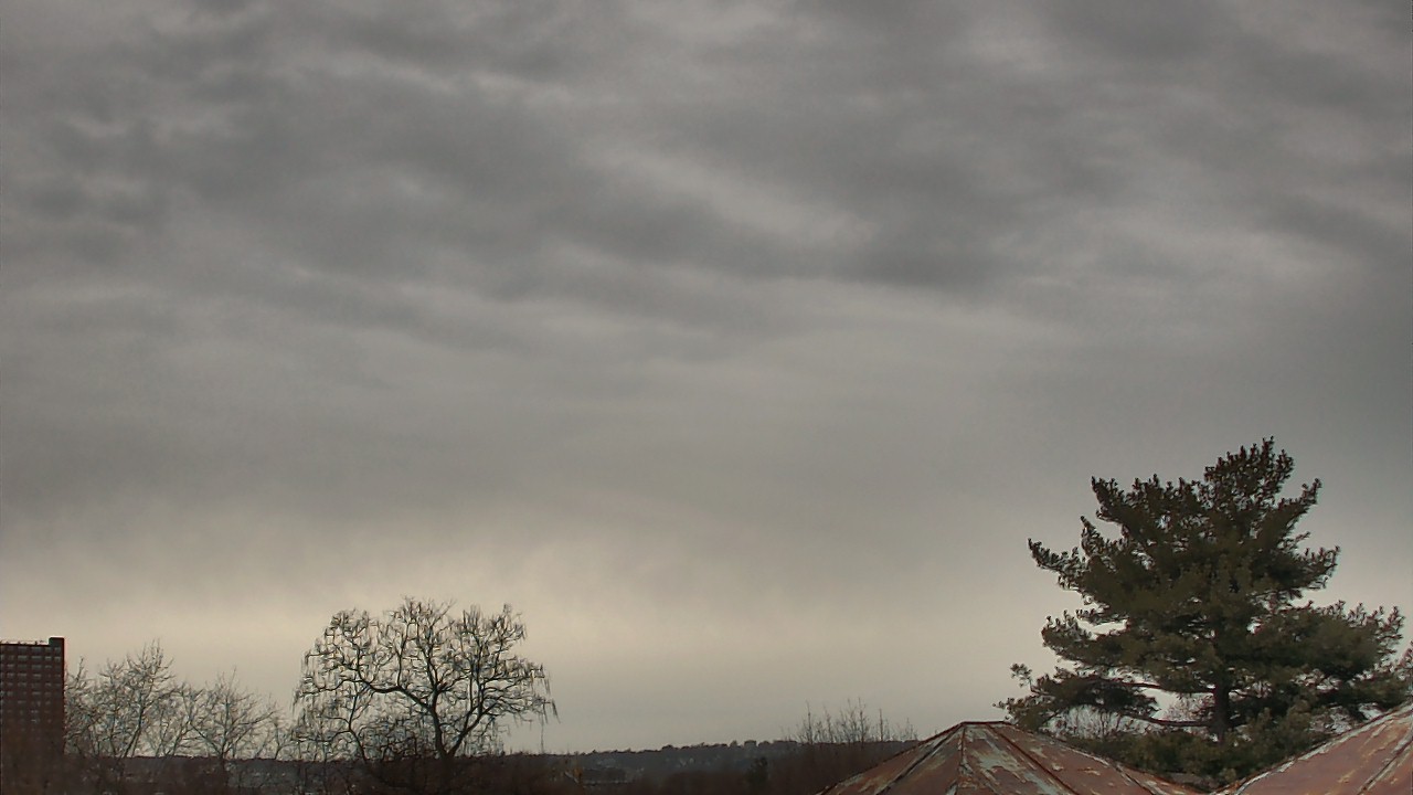 Thumbnail for current weather camera view from Benjamin Banneker Charter School in Cambridge, Massachusetts