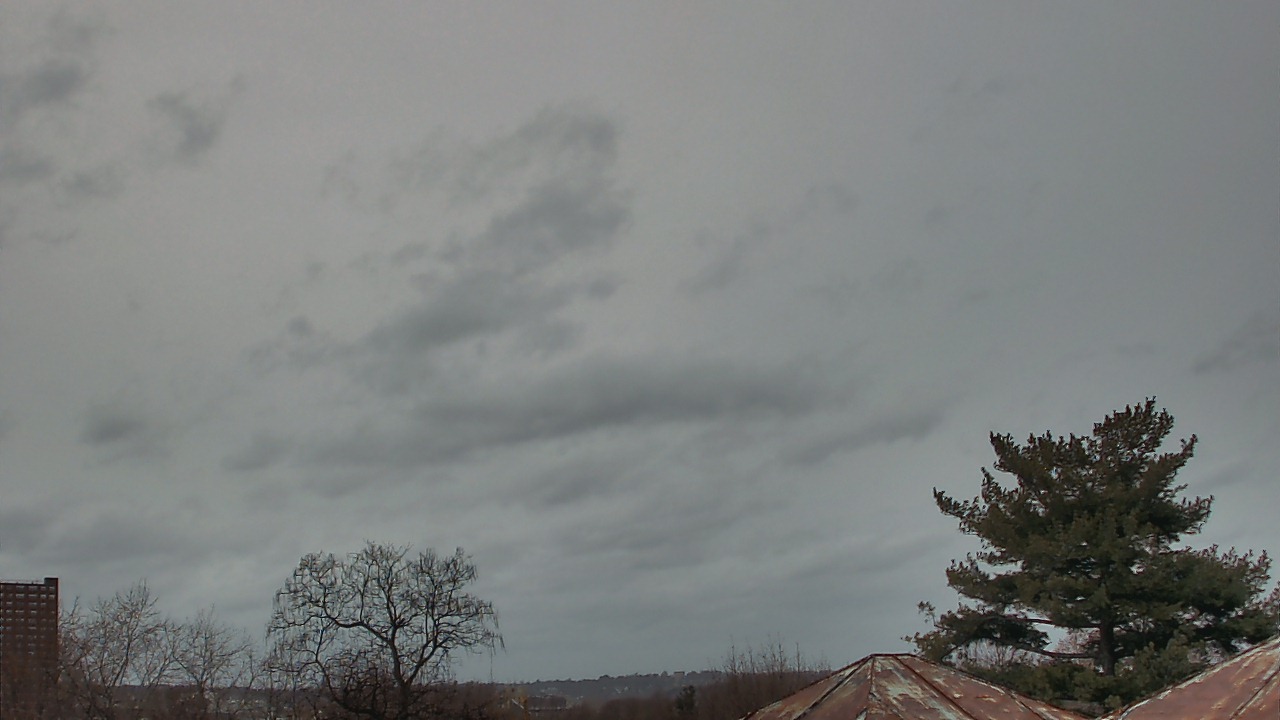 Thumbnail for current weather camera view from Benjamin Banneker Charter School in Cambridge, Massachusetts