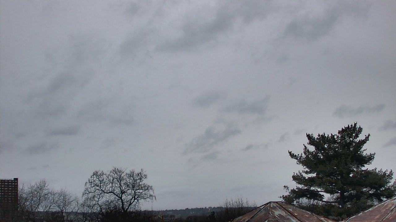 Thumbnail for current weather camera view from Benjamin Banneker Charter School in Cambridge, Massachusetts