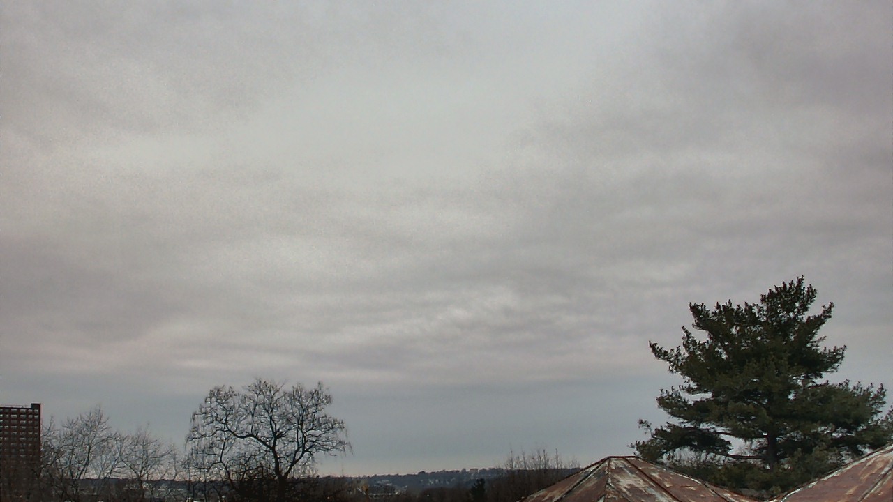 Thumbnail for current weather camera view from Benjamin Banneker Charter School in Cambridge, Massachusetts