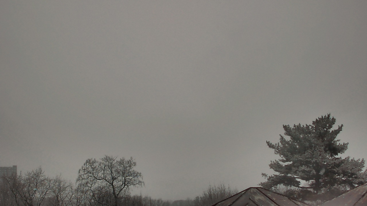 Thumbnail for current weather camera view from Benjamin Banneker Charter School in Cambridge, Massachusetts