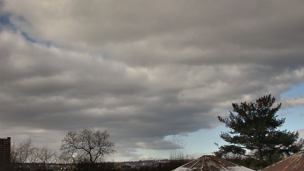 Thumbnail for current weather camera view from Benjamin Banneker Charter School in Cambridge, Massachusetts