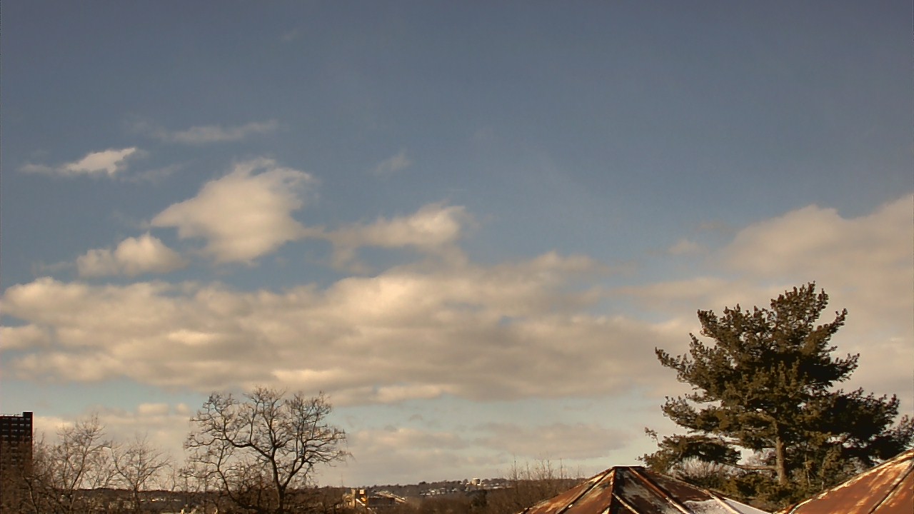 Thumbnail for current weather camera view from Benjamin Banneker Charter School in Cambridge, Massachusetts