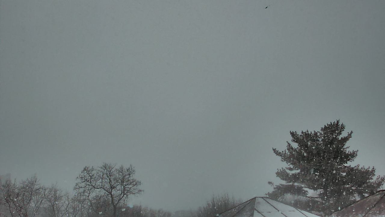 Thumbnail for current weather camera view from Benjamin Banneker Charter School in Cambridge, Massachusetts