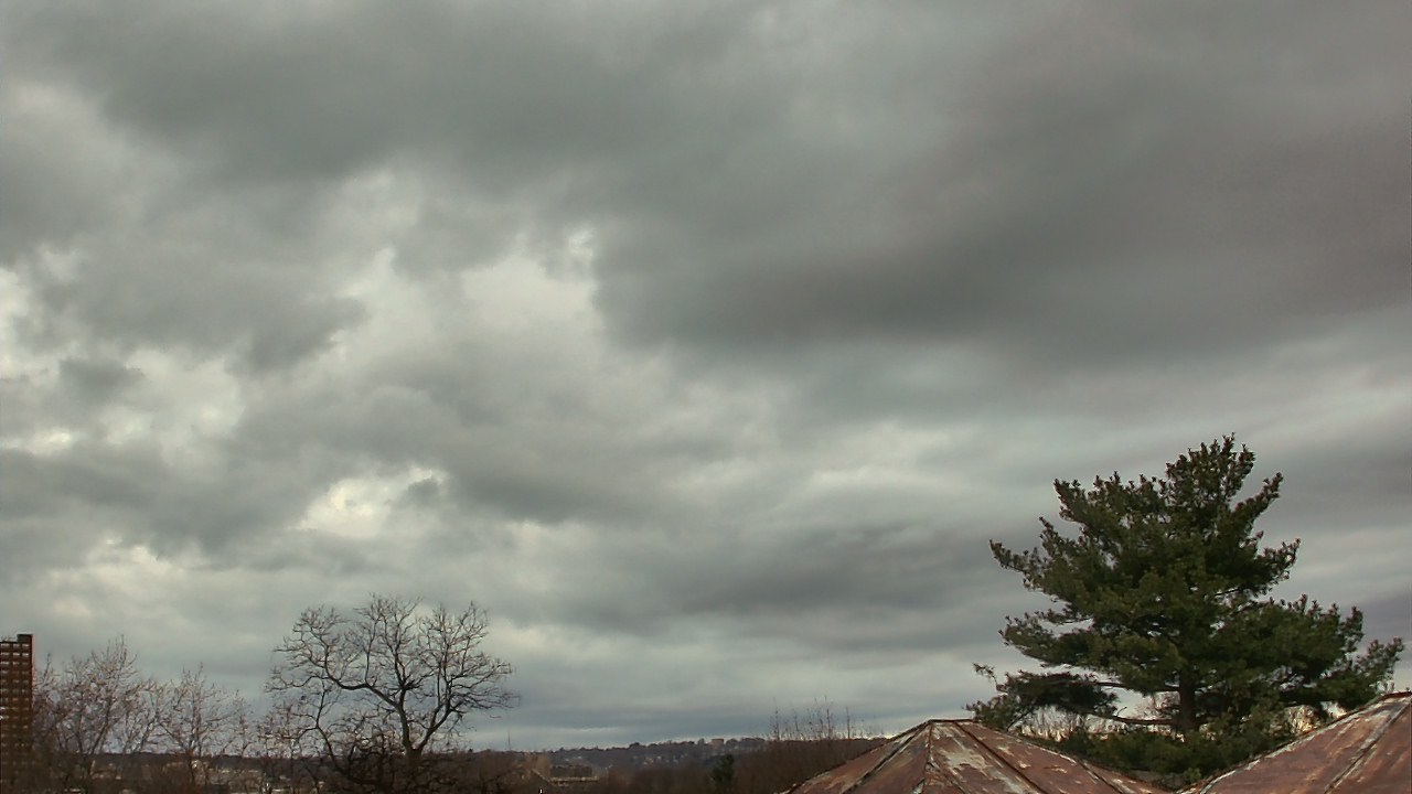 Thumbnail for current weather camera view from Benjamin Banneker Charter School in Cambridge, Massachusetts