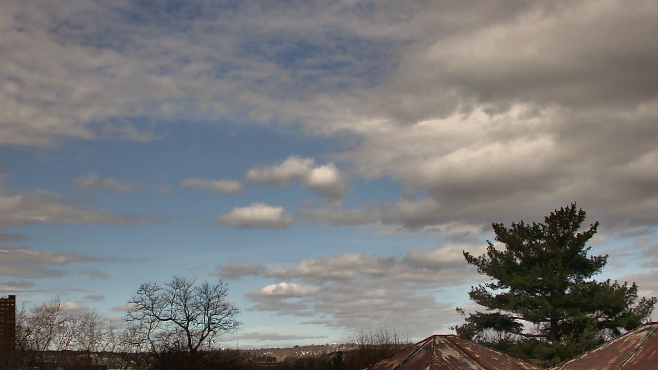 Thumbnail for current weather camera view from Benjamin Banneker Charter School in Cambridge, Massachusetts