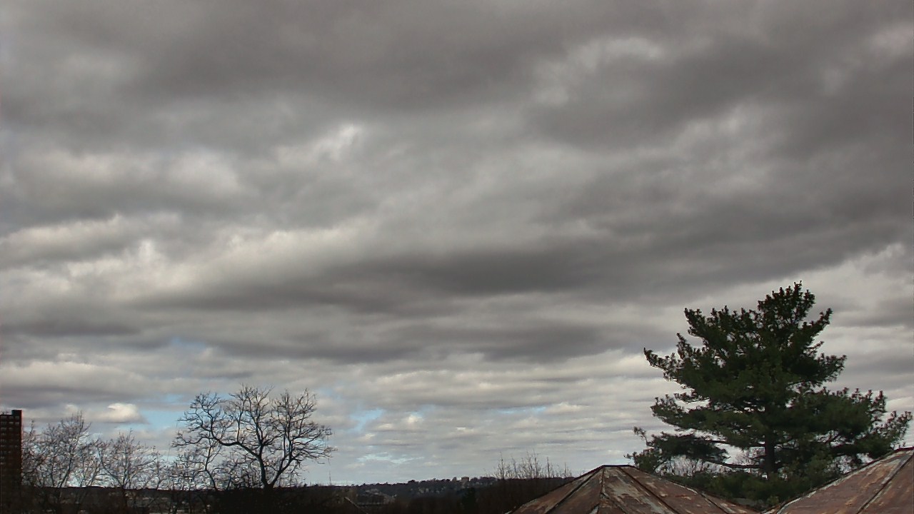 Thumbnail for current weather camera view from Benjamin Banneker Charter School in Cambridge, Massachusetts